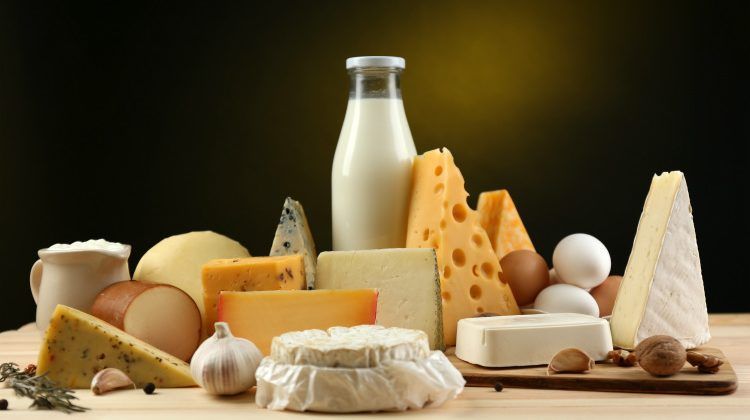Dairy Delights Process